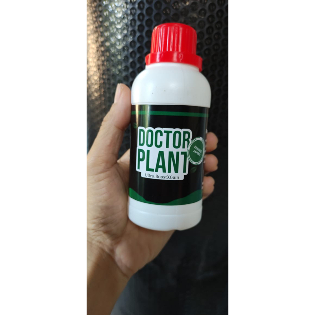 Pupuk Jambu Air Cepat Berbuah,Pupuk Jambu Air,Pupuk Jambu Kristal,Pupuk Jambu Jamaika