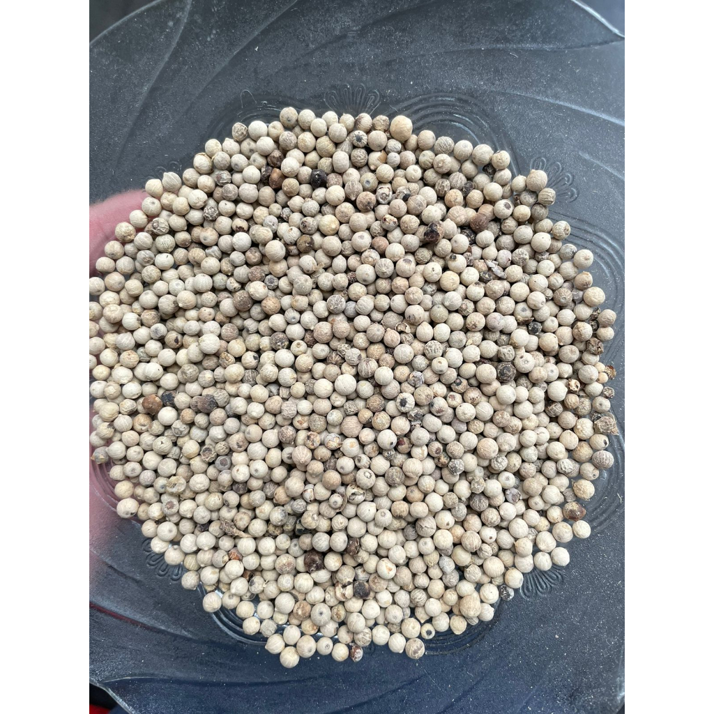 

Lada Putih Bulat 500gr (1/2kg) SUPER!