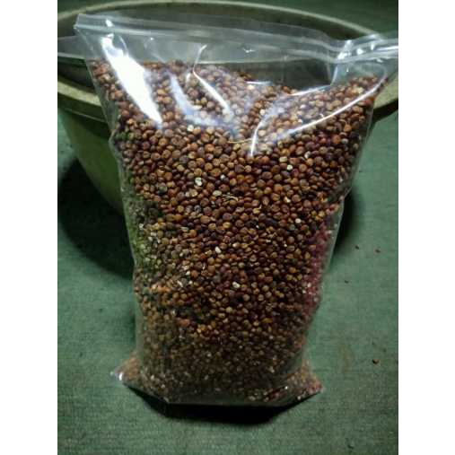 

MURAH BIJI SORGUM MERAH HERBAL-100 GRAM