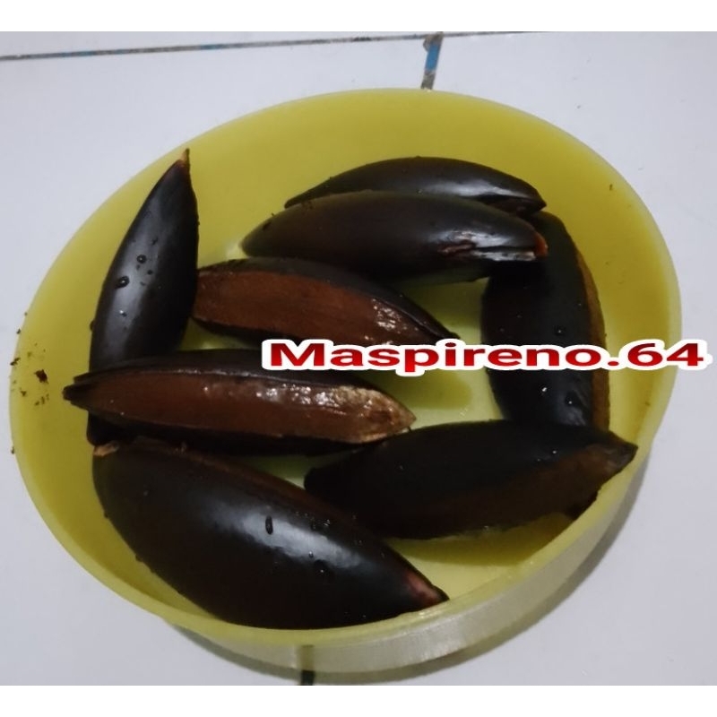 Biji Buah Mamey Sapote Magana