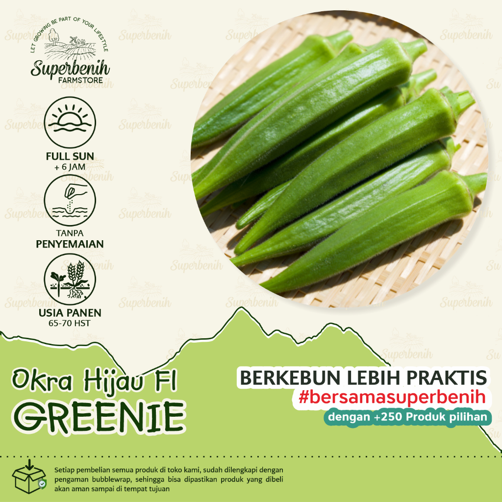 5 Biji - Benih Okra Hijau GREENIE, bendi