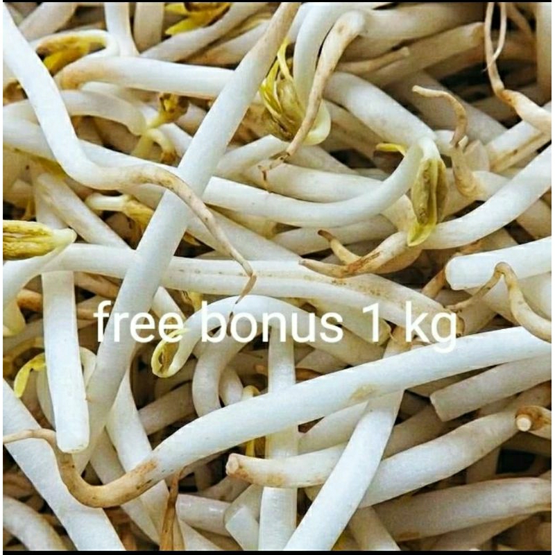 

toge bangkok 250gr + gratis bonus