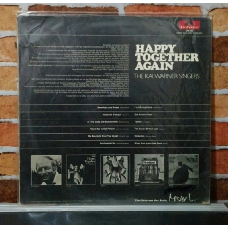 Vinyl Piringan Hitam 12 inch Happy Together Again