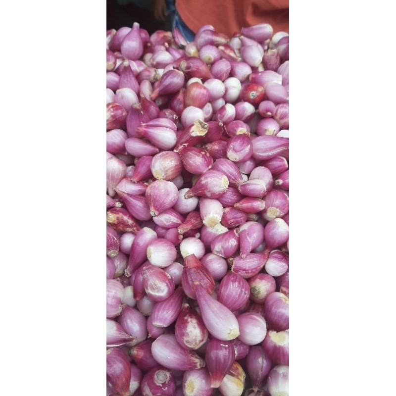 

BAWANG MERAH KUPAS TERMURAH BREBES ASLI