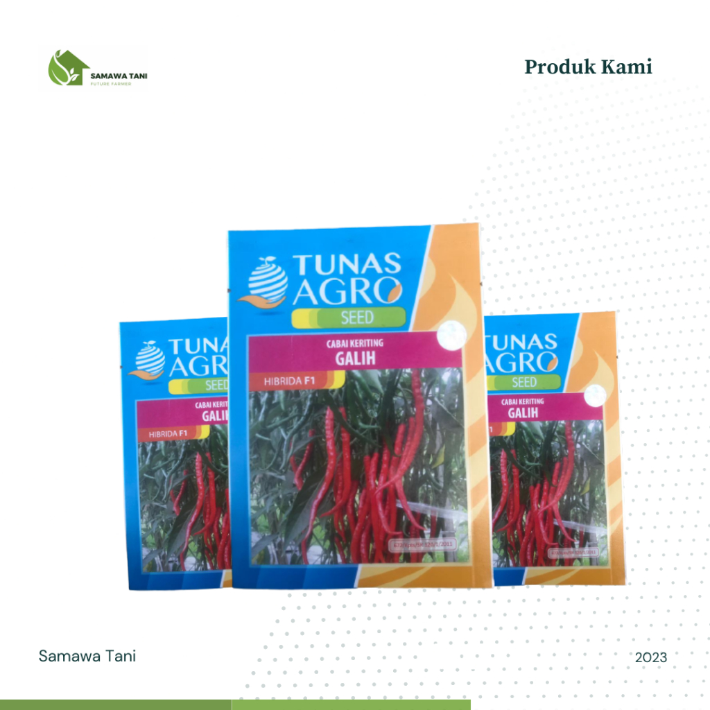Benih Bibit Cabe Cabai Keriting Hibrida F1 Galih Tunas Agro Seed 10 gr