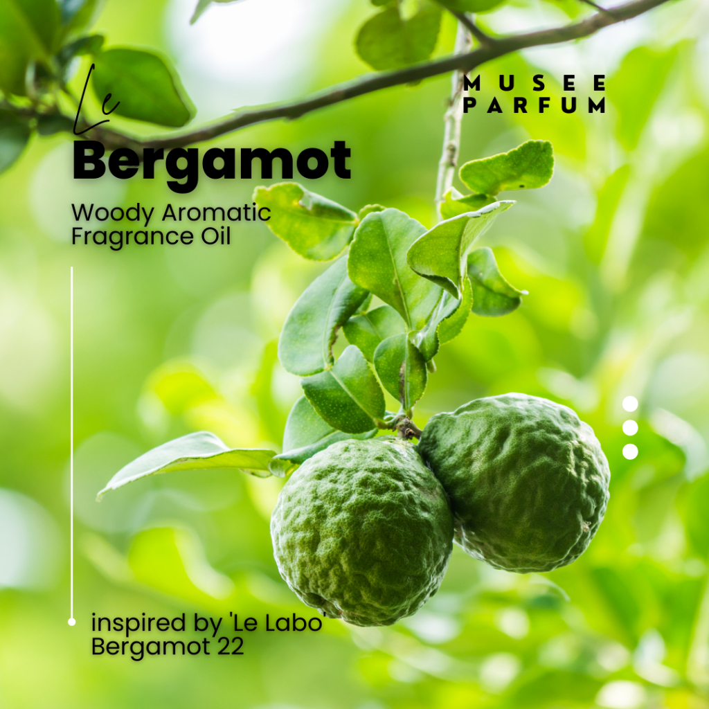 Le Bergamot Fragrance Oil Aroma Oil Candle Fragrance Oil Perfume Making OIl Home Fragrance Oil Best 