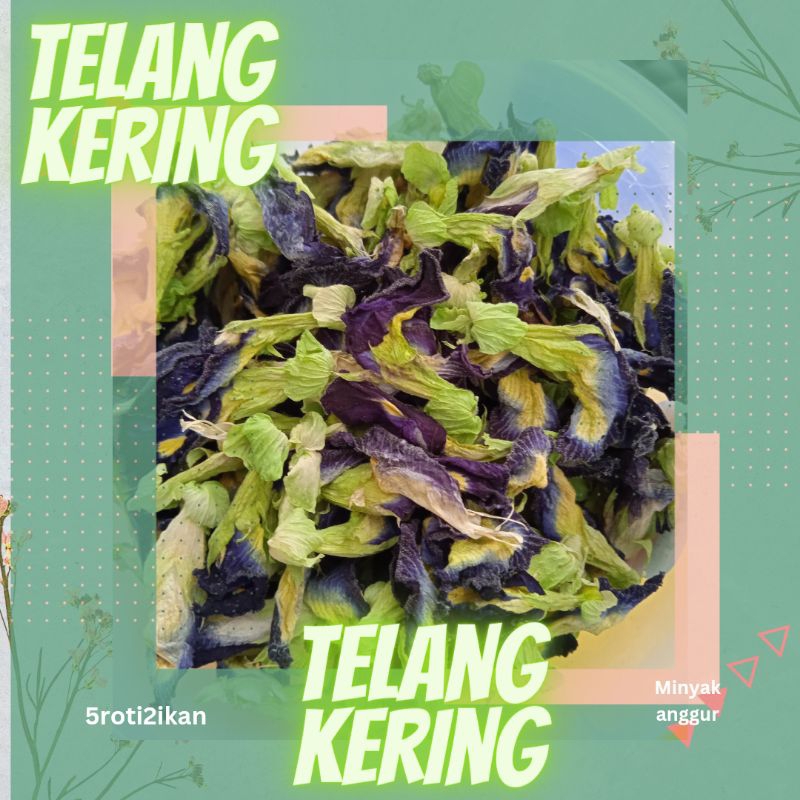 

Bunga Telang Kering