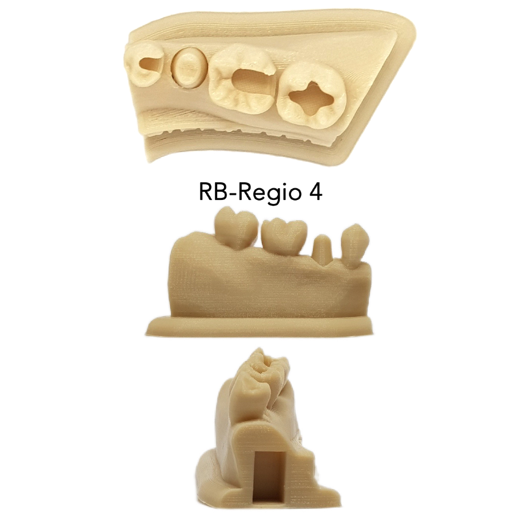 Model latihan tambal gigi hands on restorasi model gigi bolong model konservasi model tambal gigi