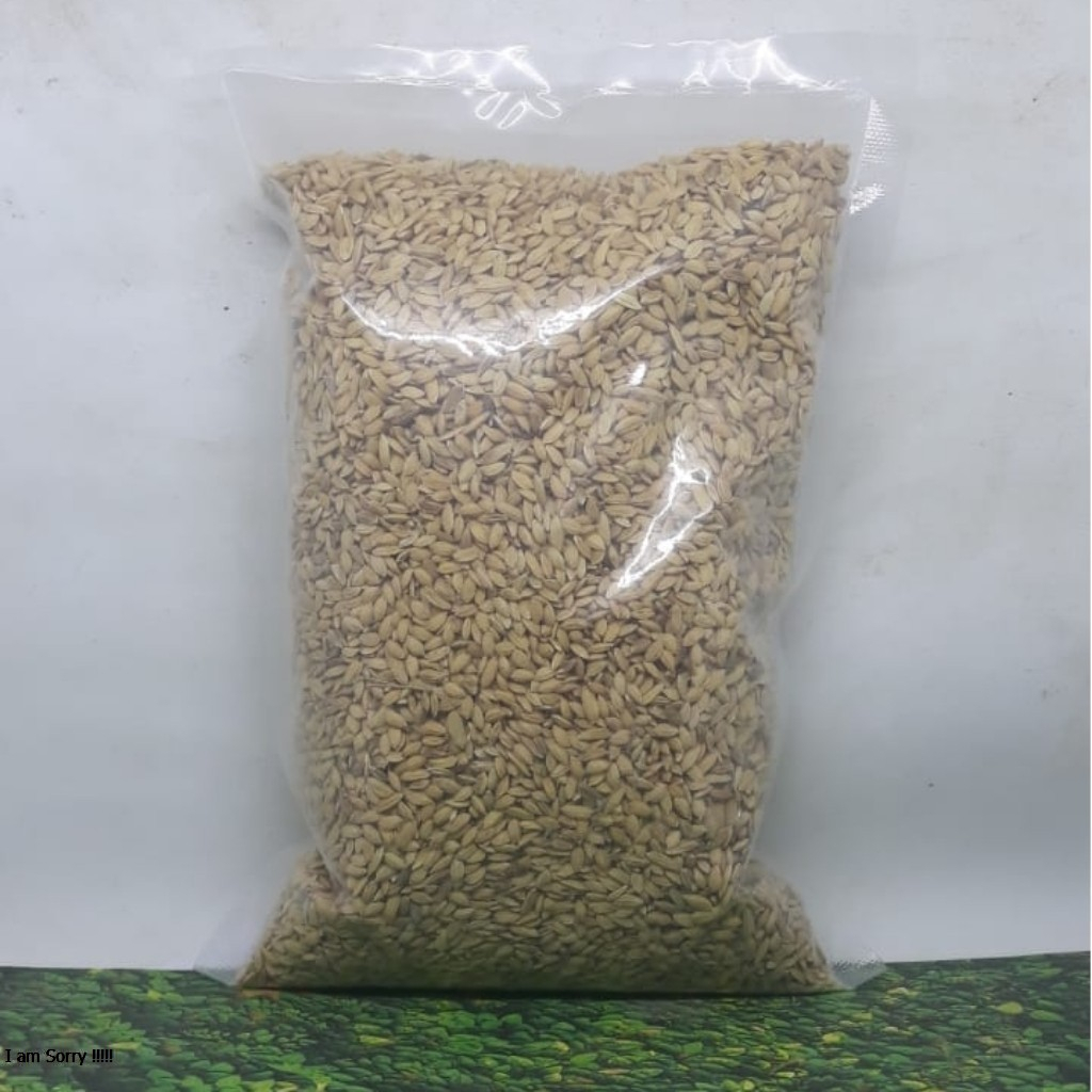 GABAH BANGKOK 500GRAM PAKAN MAKANAN BURUNG LOVEBIRD PERKUTUT KENARI