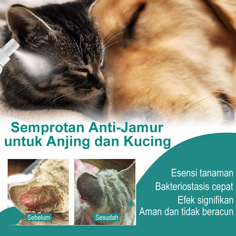 Obat Jamur Kucing Anjing Kelinci Anti Scabies Demodex Impetigo Jamur Kutu Parasit Cacing Hati Gatal Kulit 30ml