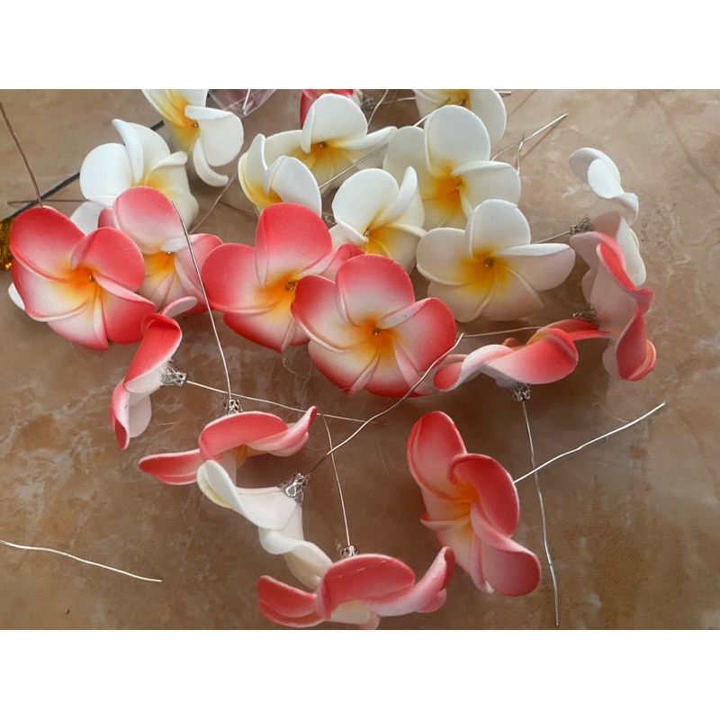 BUNGA KAMBOJA (perbiji)