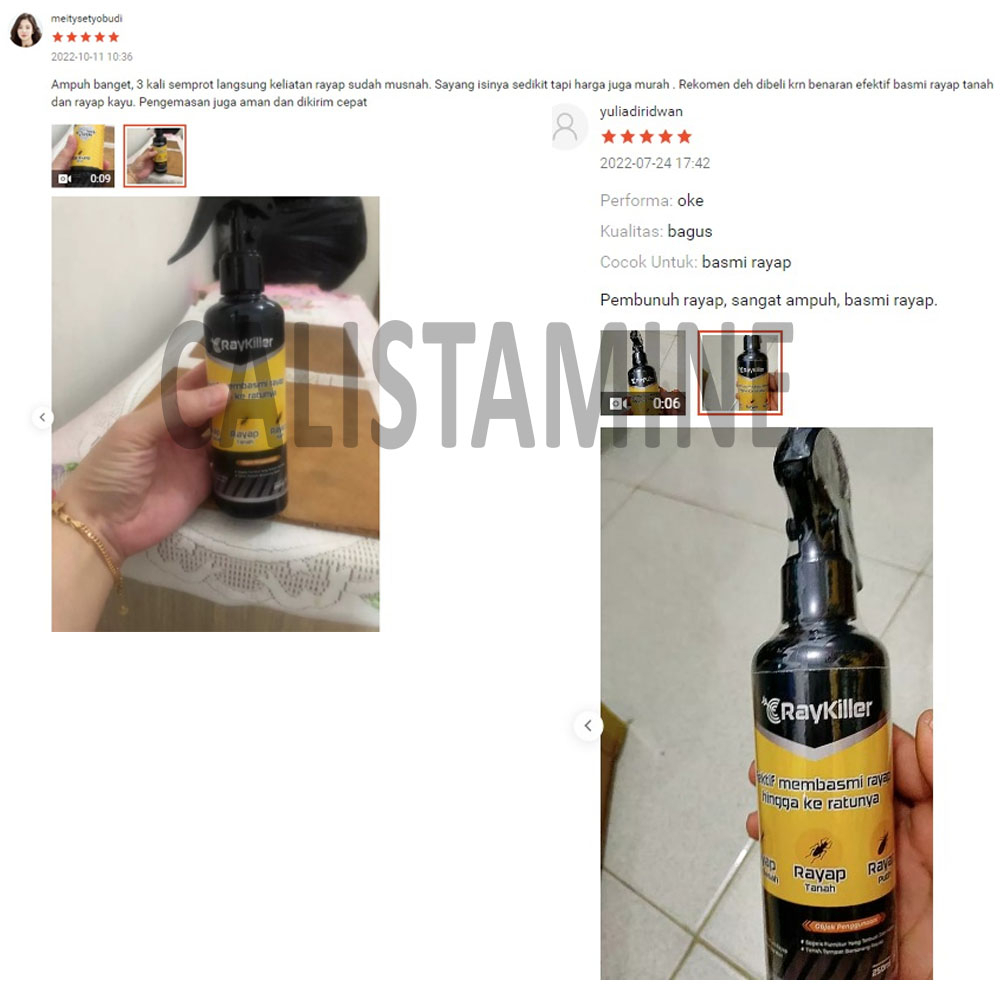 PAKET Pembasmi Serangga - RayKiller Pembasmi Rayap dan ByebugKiller Pembasmi Kutu Busuk / Kutu Anjing / Tungau