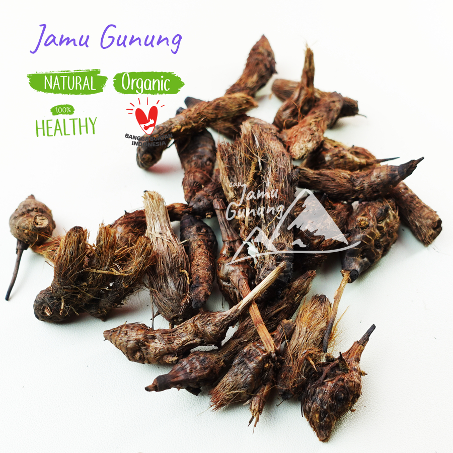 Umbi Suket Teki / Empu Rumput Teki Kering / Umbi Manggata Asli Gunung