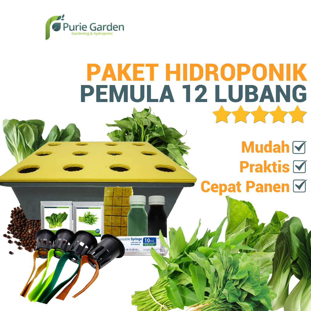 Paket Hidroponik Lengkap Wick System 12 Lubang 1 Bak Edisidirumahaja PG SBY