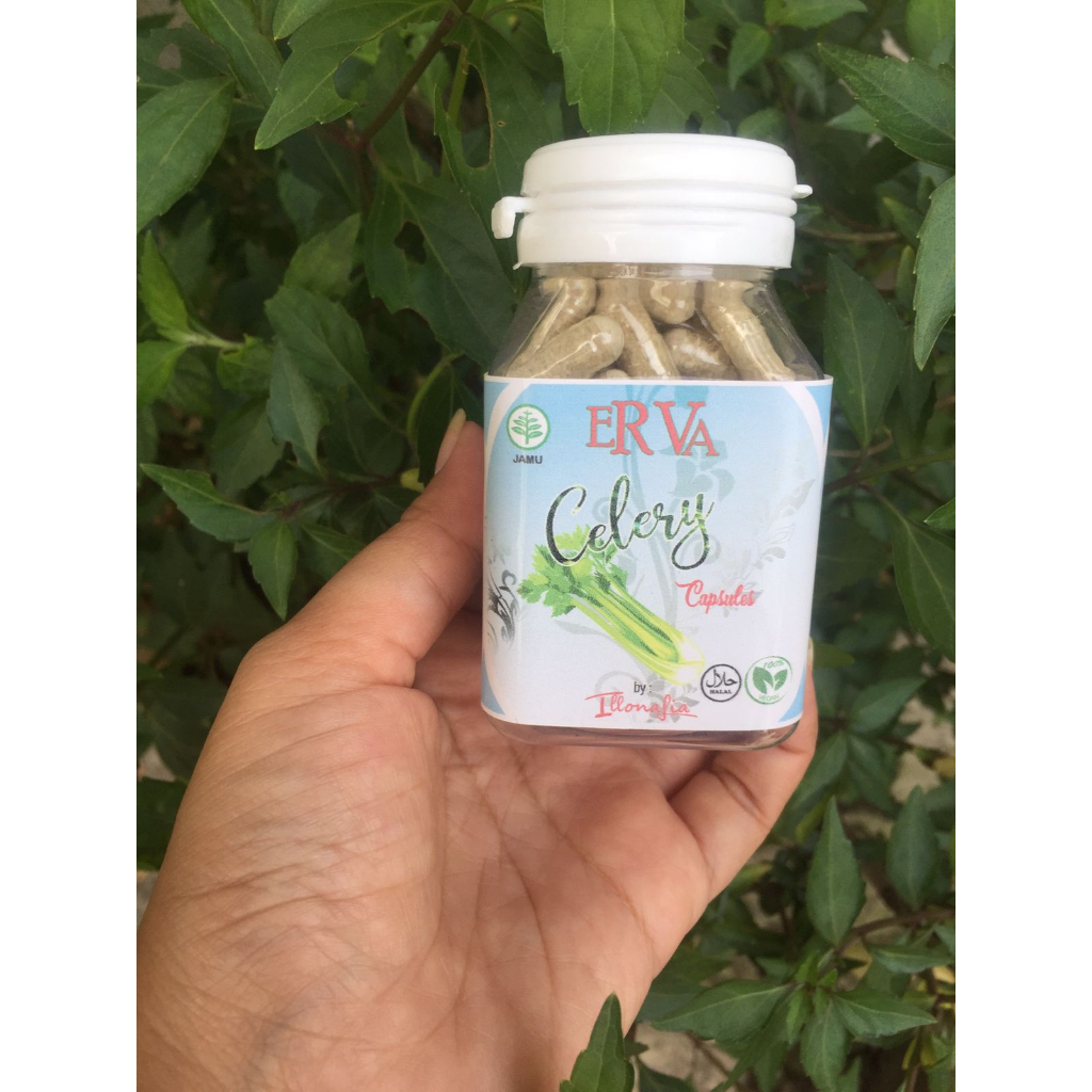 Kapsul Herbal Seledri stik
