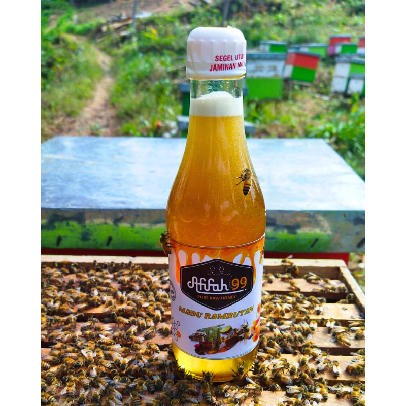 

Madu Murni Afifah 99 Nektar Bunga Rambutan 350 ml - Madu Rambutan - Madu Asli Raw Honey