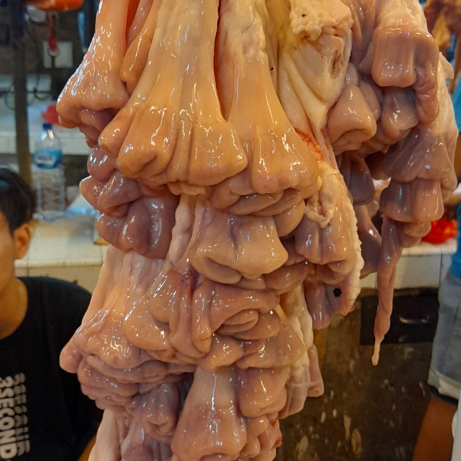 Iso Usus Sapi Segar Fresh Lokal / Tamusu