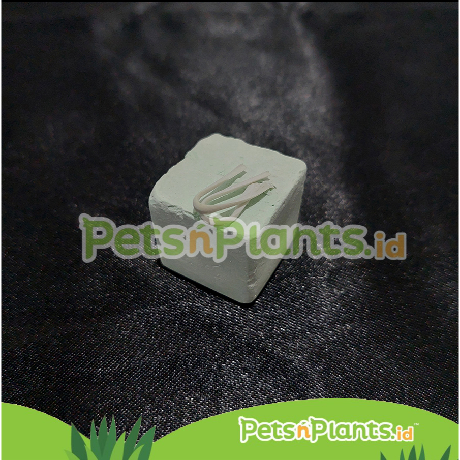 Mineral Gnawing Stone Mainan Gigitan Hamster Kelinci Batu Asah Gigi Kotak 3 x 3 CM