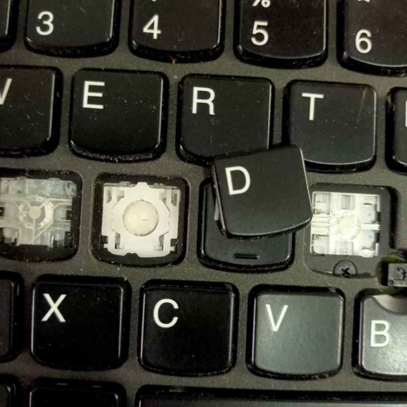 Tuts Keyboard Backlit