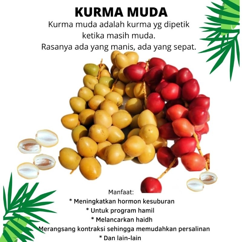

Kurma Muda 1/4 kg 1/2 kg 1 kg