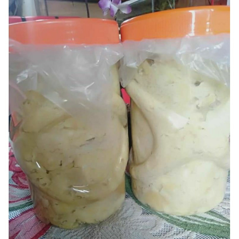 

Tampuyak Asli Katingan/Kasongan Kalimantan Tengah