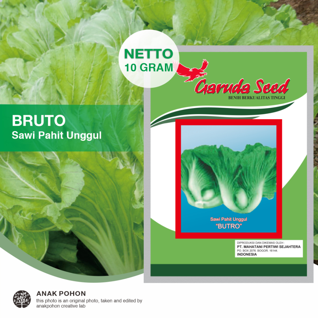 (1 PACK) Benih Sawi Pahit Marokot BRUTO Unggul Seeds - Garuda Seed - 10 GRAM