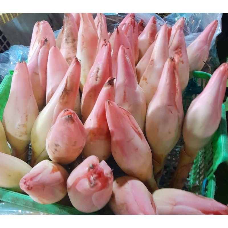 

Bunga kecombrang 250 gr