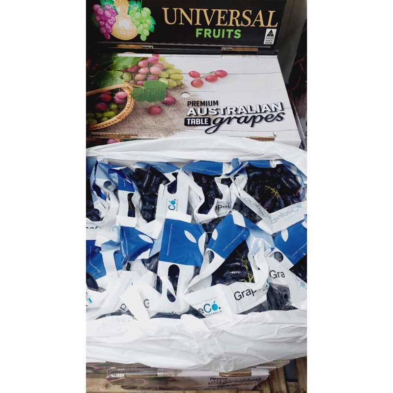 

Buah Anggur Moondrop Black sweet Tanpa Biji 8 Kg/ Box