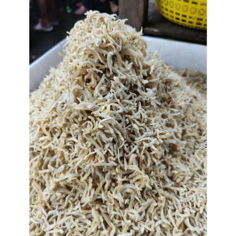 

Ikan Teri Medan Putih (500g) Ikan Teri Toge / Ikan Teri Tauge / Ikan Teri Mie / Ikan Teri Nasi
