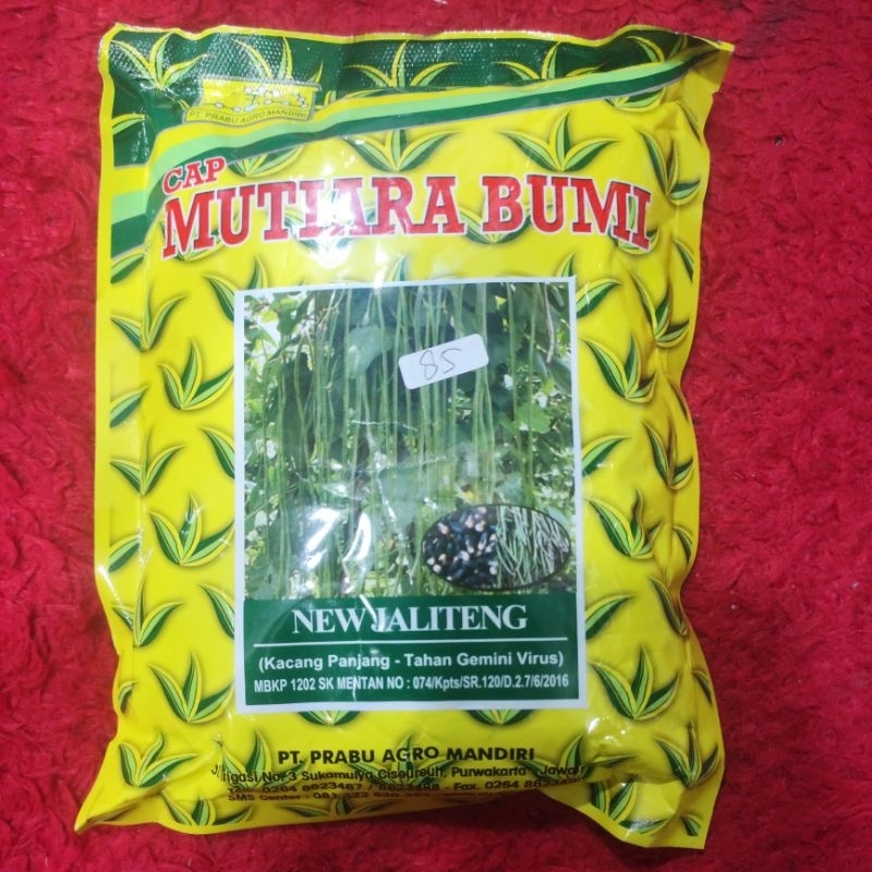 

kacang panjang NEW JELITENG (tahan virus)