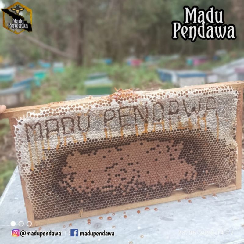 

madu akasia 1000 gram madu asli riau