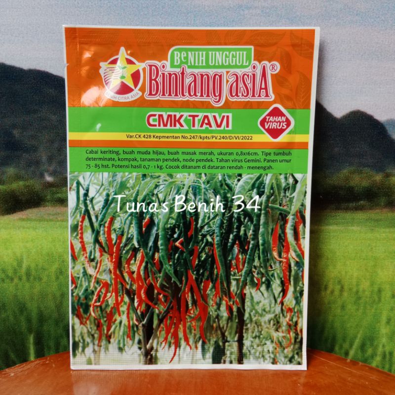 Benih Cabe Merah Keriting CMK Tavi 10Gram - Cap Bintang Asia