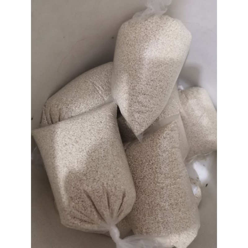 

Biji wijen putih 250gr