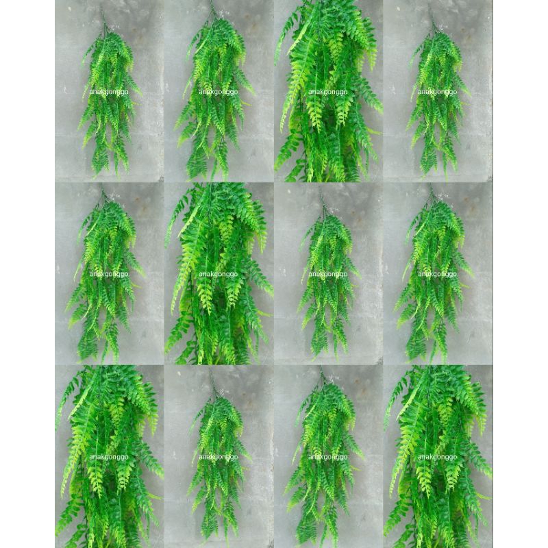 Grosir Bunga Jakarta 10pcs Daun Juntai Gantung Pakis Boston Plastik Hijau