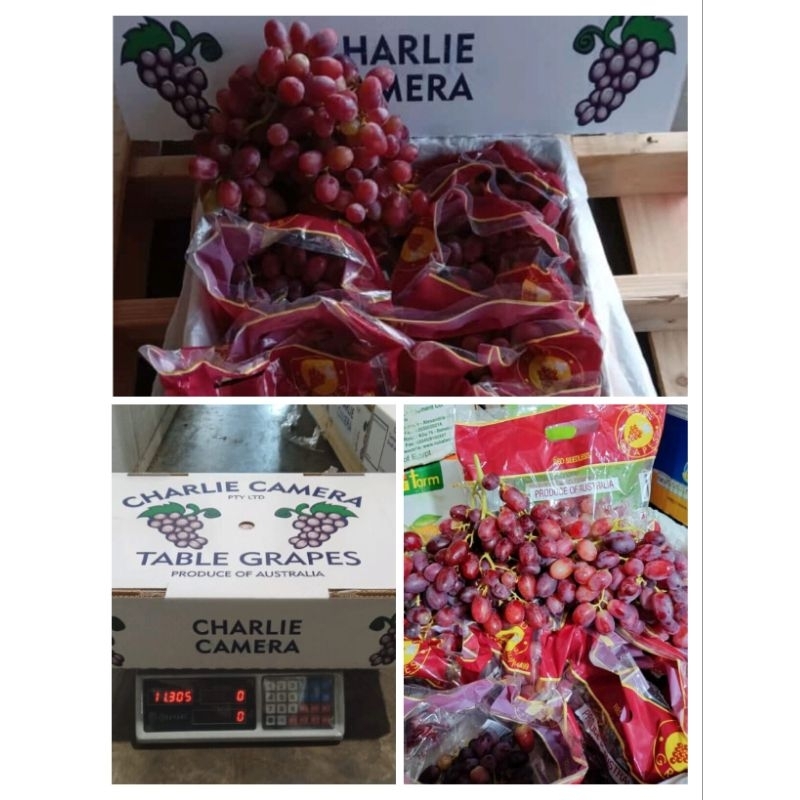 

Anggur Crimson Non biji / anggur Australia Crimson 450gram