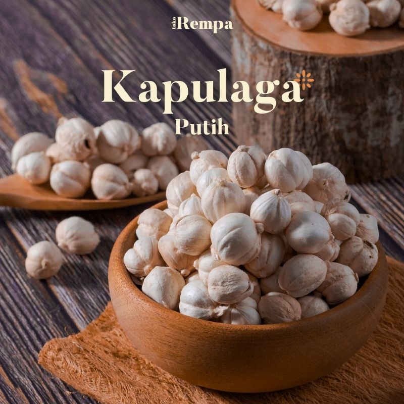 

Kapulaga Putih / White Cardamom 100gr