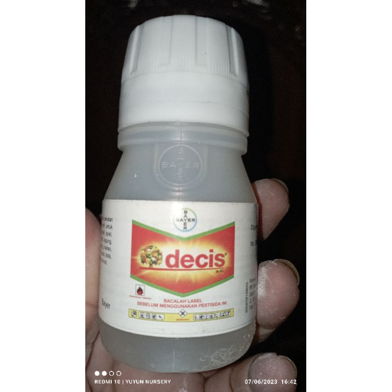 Decis