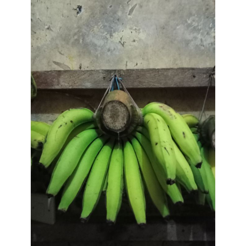 

pisang ambon super