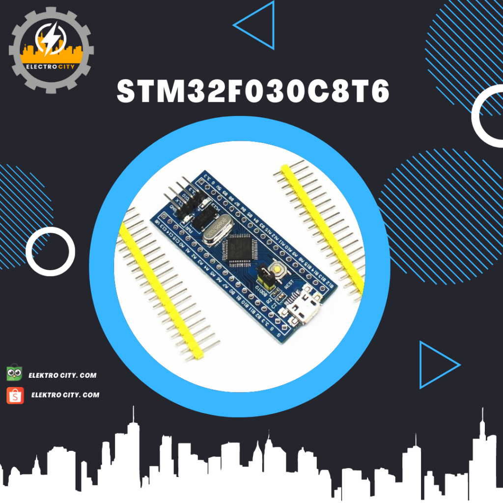 Module STM32F030C8T6