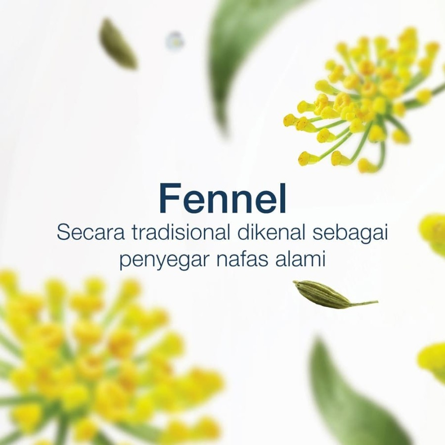 Sensodyne / Pasta Gigi Herbal / Eucalyptus &amp; Fennel / 100gr