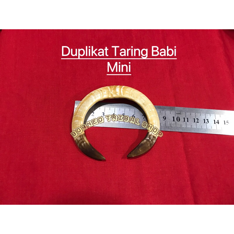 Duplikat Hiasan Taring Babi Mini