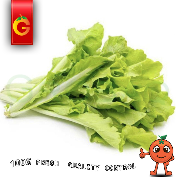

SAYUR SAWI KERITING FRESH 250 GRAM