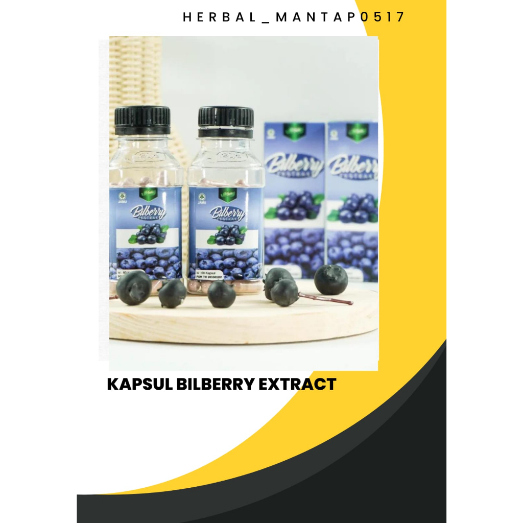 BILBERRY EKSTRAK 60 KPSL CV SYIFA HERBAL ALAMI