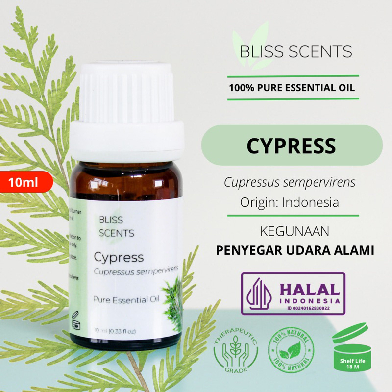 Bliss Cypress / Cemara Essential Oil Aromaterapi 100% Murni Therapeutic Grade Aromatherapy