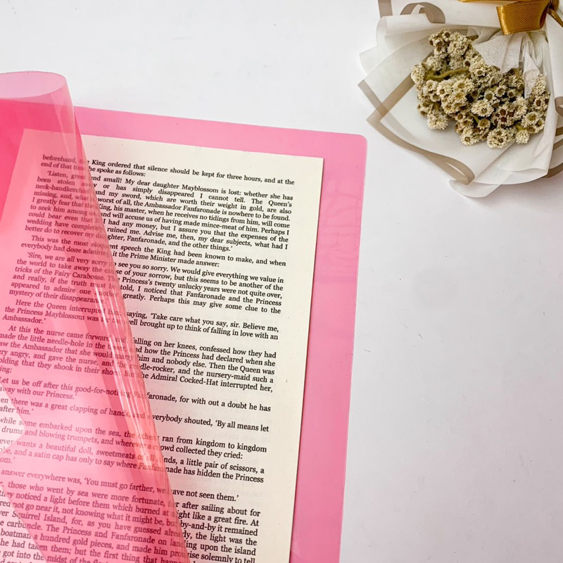 

MAP L BIG F4 (8113) ECER / MAP PLASTIK / CLEAR SLEVE / MAP FILE BIG