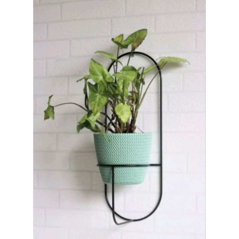 pot gantung dinding/hiasan dinding dekorasi/pot gantung oval