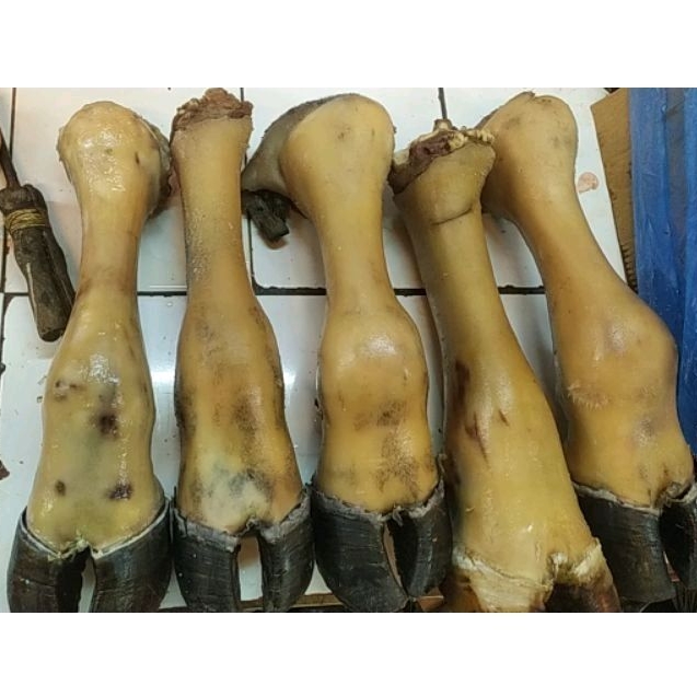 

Kikil Kaki Sapi Tunjang Per Batang