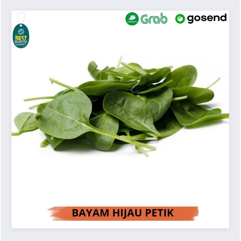 

Sayur Bayam Petik Segar