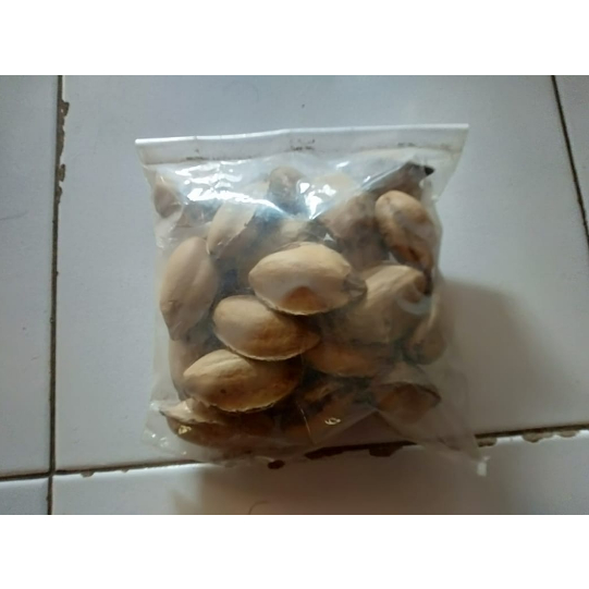 

Buah ketapang kering