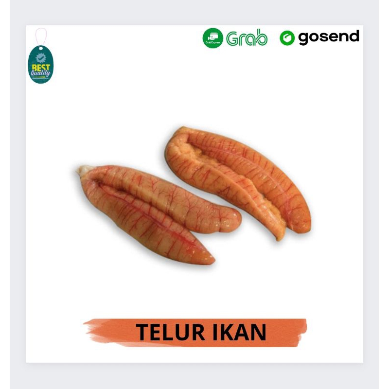 

Telur Ikan Segar - 1000gr